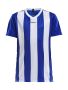 Progress Jersey Stripe Jr Club Cobolt