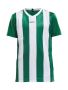Progress Jersey Stripe Jr Team Green