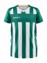 Progress 2.0 Stripe Jersey Jr Team Green/White