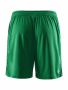 Premier Shorts M Team Green
