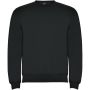 Clasica unisex tröja med rund hals Dark Lead