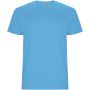 Stafford kortärmad T-shirt för herr Turkos