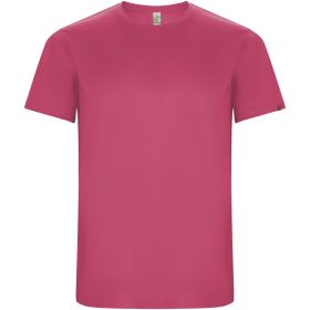 Imola kortärmad funktions T-shirt för herr Rosa