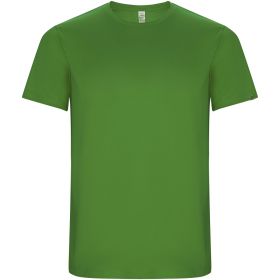Imola kortärmad funktions T-shirt för herr Ormbunkegrön