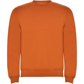 Clasica unisex tröja med rund hals Orange