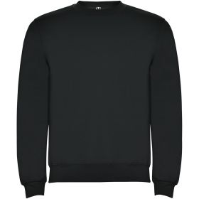 Clasica unisex tröja med rund hals Dark Lead