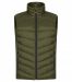 Idaho Vest