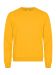 Miami Roundneck citron