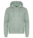 Miami Hoody Sage green