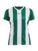 Progress Jersey Stripe W Team Green