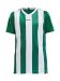 Progress Jersey Stripe Jr Team Green