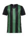 Progress Jersey Stripe Jr Black/Team Green