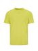 ADV Essence SS Tee 2 M Pear