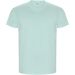 Golden kortärmad T-shirt för herr Mintgrön