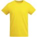 Breda kortärmad T-shirt ekologisk bomull herr